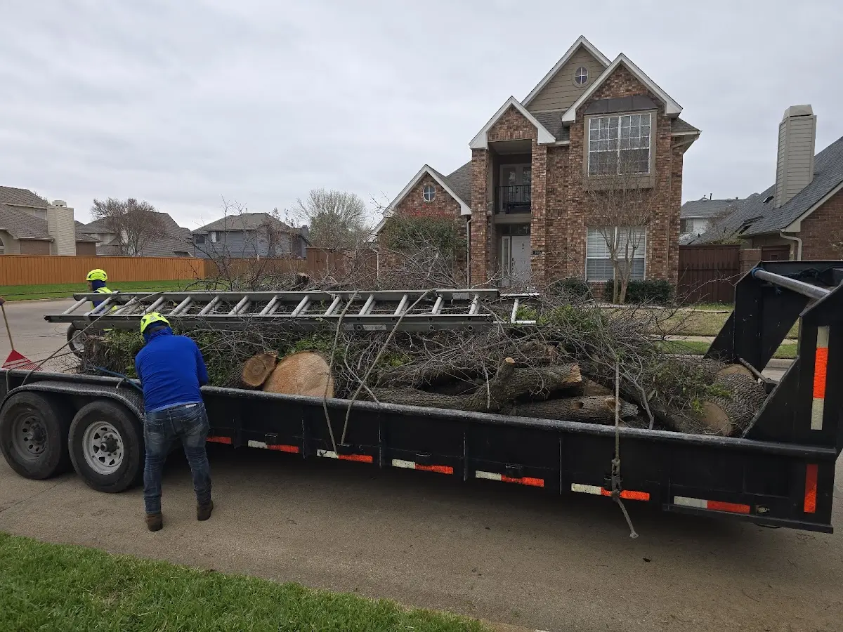 Expert Tree Pest Control with proper safety equipment in Hartsfield